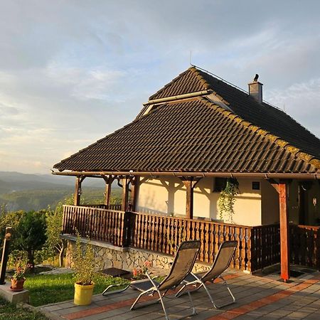 Plitvička Jezera Cozy House Zivko With Balconyヴィラ エクステリア 写真